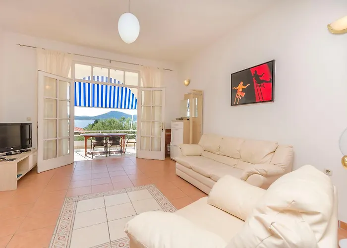 Angel 프르비치 세푸리네