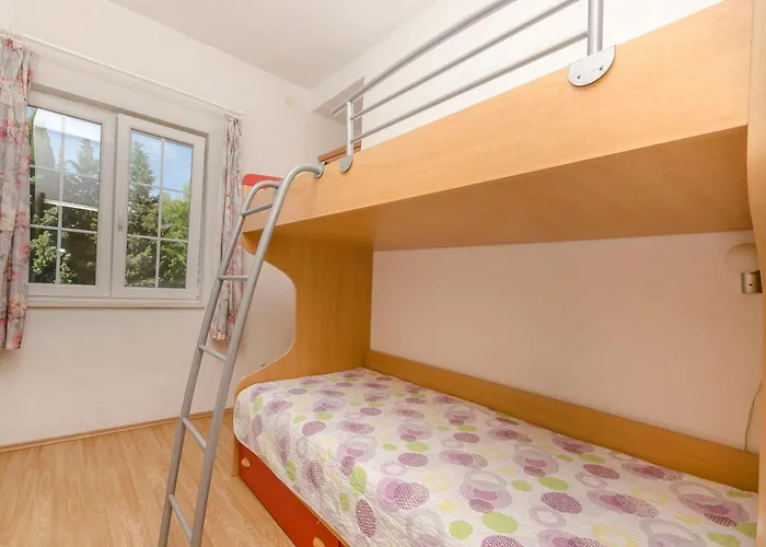 Angel 프르비치 세푸리네